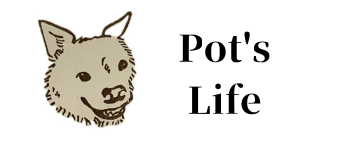 pot's logo
